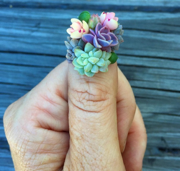 succulent-nail-art