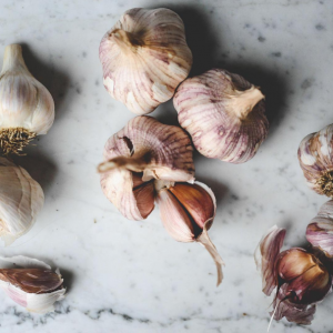 garlic