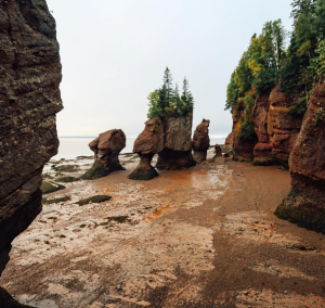 bay-of-fundy
