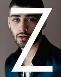 zzayn