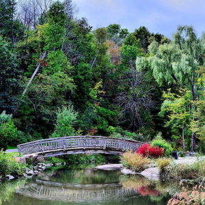 Picturesque Gardens Around Toronto | LIFESTYLE