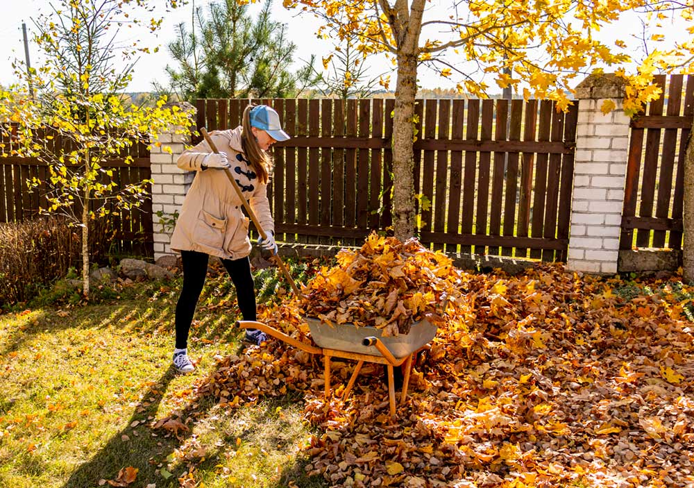 Steps to get your yard ready for winter.